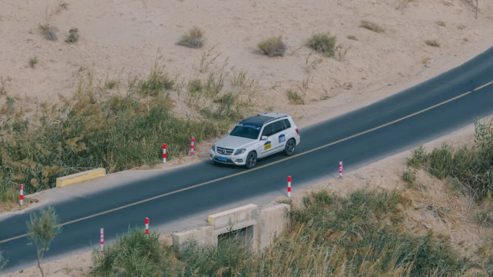 森林公园, cM 森林公园, cM