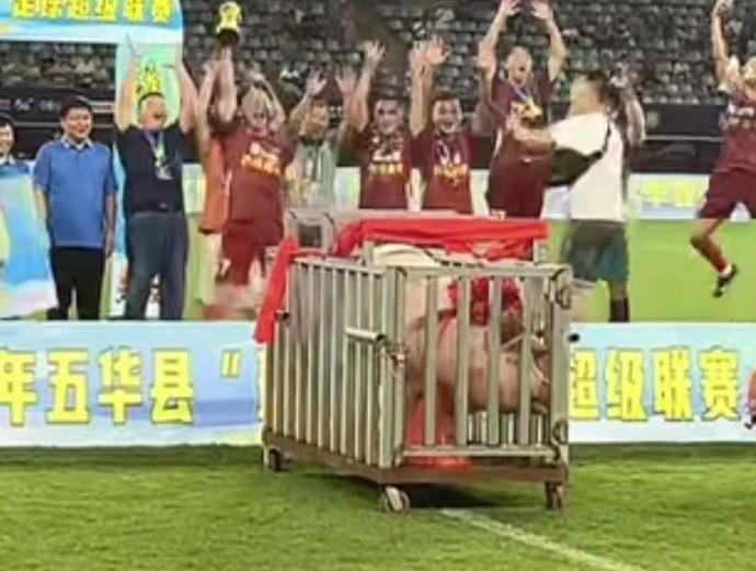 上游新闻记, 电旅体局相 上游新闻记, 电旅体局相